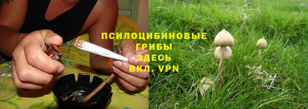 крисы Арсеньев