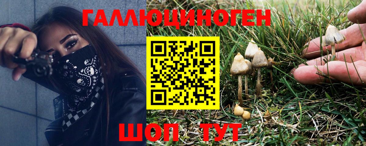 Балтийск  сколько стоит  Вход с VPN  Псилоцибиновые грибы Cubensis  Галлюциногенные грибы прущие грибы 