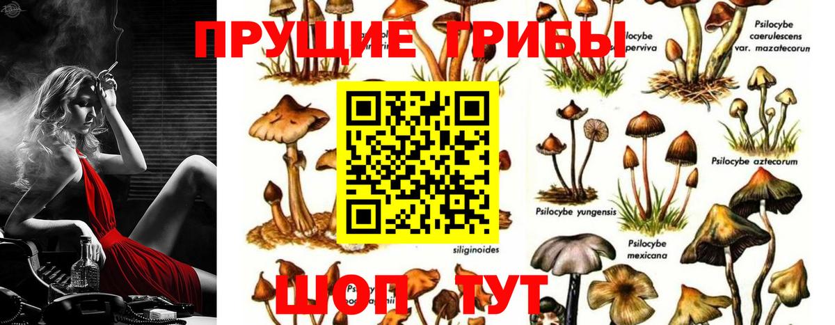 Галлюциногенные грибы ЛСД Балтийск